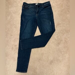 Hudson Jeans Women's Deep Indigo Skinny Jeans